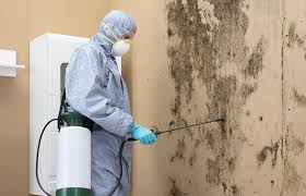 Best Forensic Mold Investigation in Lake Mohegan, NY